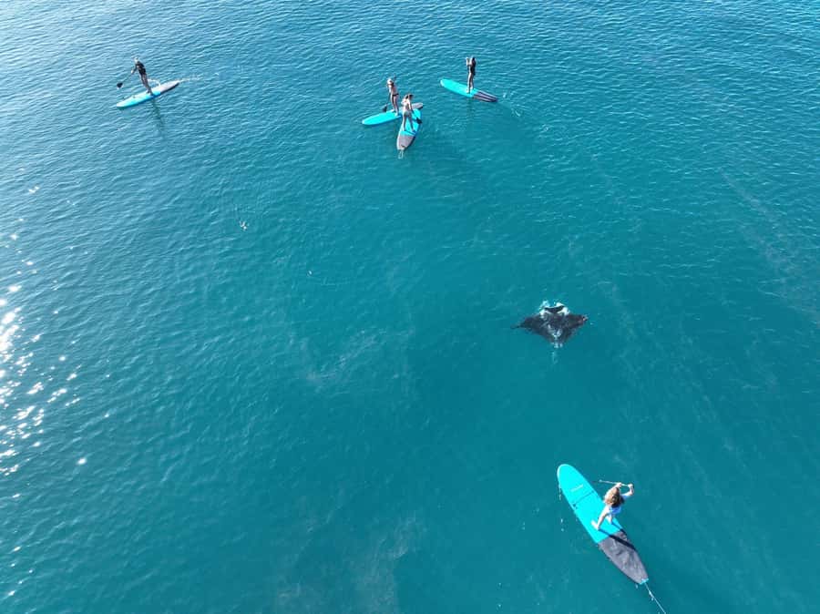 Airlie Beach: Whitsunday Islands Sailing, SUP & Snorkel Tour - Price and value: is $162 a good deal?