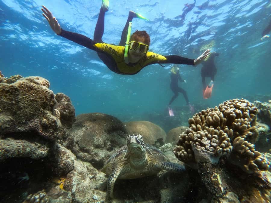 Airlie Beach: Whitsunday Islands Sailing, SUP & Snorkel Tour - Where the boat fits in: shaded decks, indoor lounges, and the jacuzzi moment