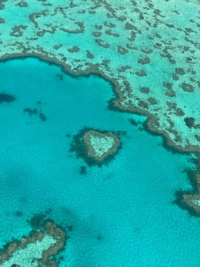 Airlie Beach: Whitsundays & Great Barrier Reef Scenic Flight - Key Things That Make This Flight Worth It