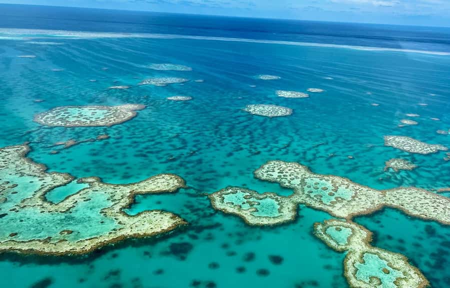 Airlie Beach: Whitsundays & Great Barrier Reef Scenic Flight - The Flight Itself: What You’ll Actually See Over Conway National Park and the Whitsundays