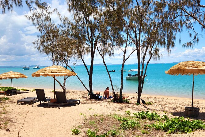 Airlie Coastal Beach Adventures - Dingo Beach & Cape Gloucester - Key highlights you’ll feel immediately
