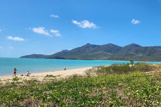 Airlie Coastal Beach Adventures - Dingo Beach & Cape Gloucester - Stop 5: returning through bush, farms, and cane fields