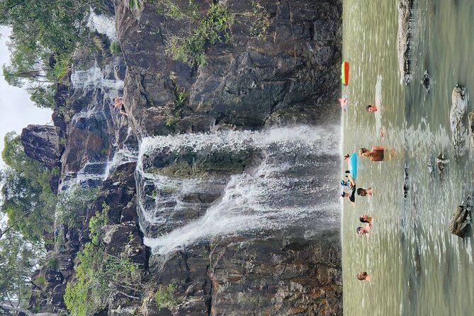 Airlie Waterfalls & Rainforest Bushwalk Eco Adventure - The Easy Start: Getting to the Waterfall Without the Stress