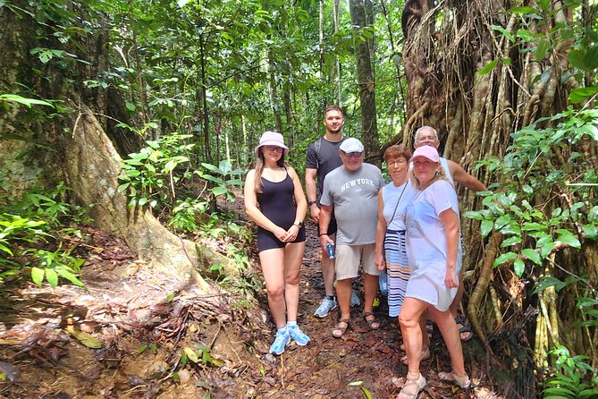 Airlie Waterfalls & Rainforest Bushwalk Eco Adventure - Conway National Park Rainforest Bushwalk: Learn While You Walk
