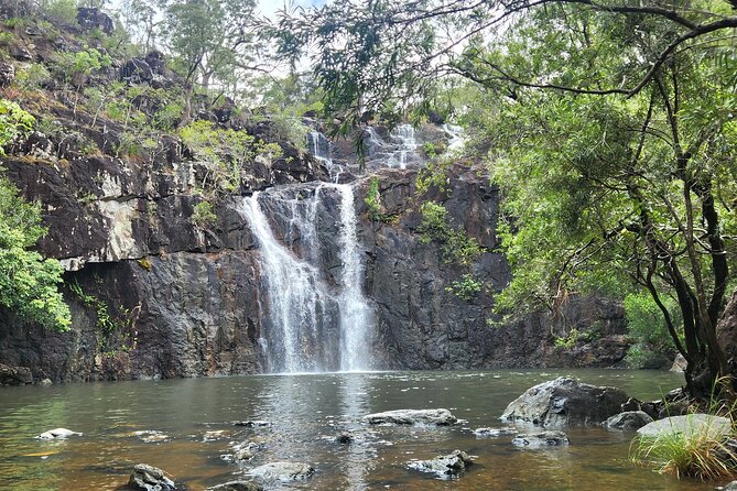Airlie Waterfalls & Rainforest Bushwalk Eco Adventure - The Guide Makes the Day: Energy, Care, and Photos
