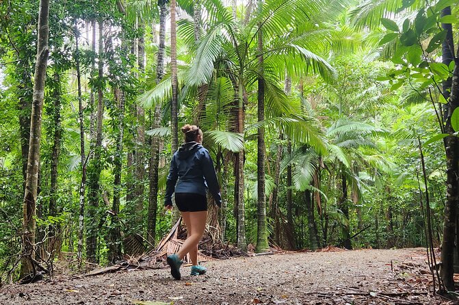 Airlie Waterfalls & Rainforest Bushwalk Eco Adventure - Timing That Actually Works for a Four-Hour Day