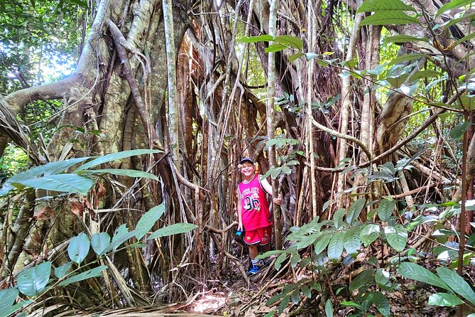 Airlie Waterfalls & Rainforest Bushwalk Eco Adventure - What’s Included (and What You’ll Need to Plan For)