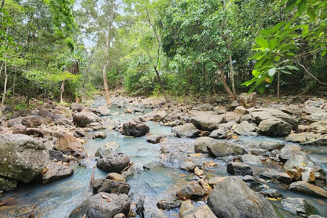 Airlie Waterfalls & Rainforest Bushwalk Eco Adventure - Price and Value: What $85.56 Gets You in Airlie