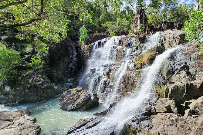 Airlie Waterfalls & Rainforest Bushwalk Eco Adventure - Who This Tour Is Best For