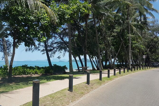 Airport Transfers between Cairns Airport and Port Douglas - Price and value: why $43.39 can be a smart move