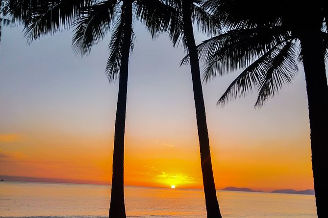 Airport Transfers between Cairns Airport and Port Douglas - Is this shared transfer right for you?