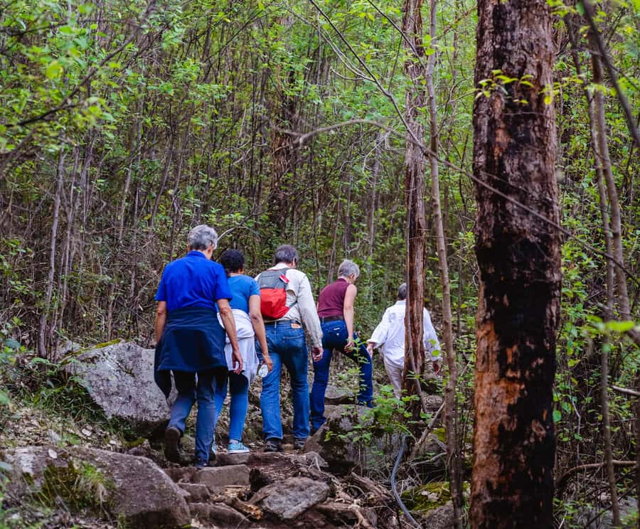 Albany: Guided Granite Skywalk in Porongurup National Park - Castle Rock hike: the 4.2 km return climb with a scramble
