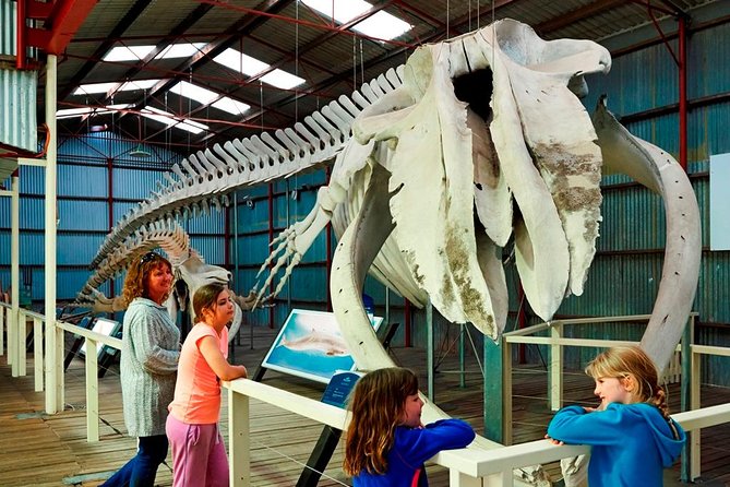 Albany's Historic Whaling Station Admission Ticket - First stop: Albany’s Historic Whaling Station and why it works