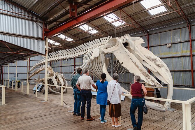 Albany's Whale Story - Torndirrup National Park walk: granite mounds and real coastal air