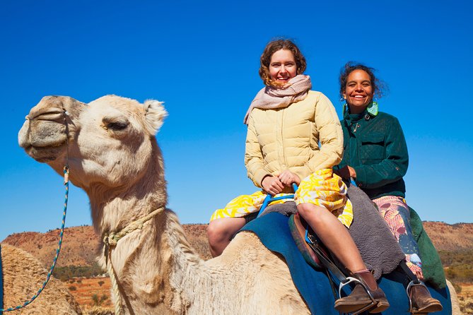 Alice Springs Camel Tour - Getting to Pyndan Camel Tracks without the hassle