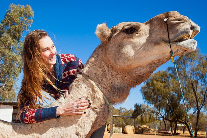 Alice Springs Camel Tour - Price and value: is $64.55 a smart use of your time?
