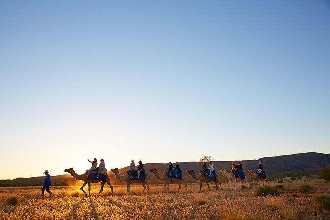 Alice Springs Camel Tour - Comfort, safety, and the physical requirements you should take seriously