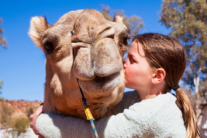 Alice Springs Camel Tour - Afternoon vs sunset: pick the sky you want