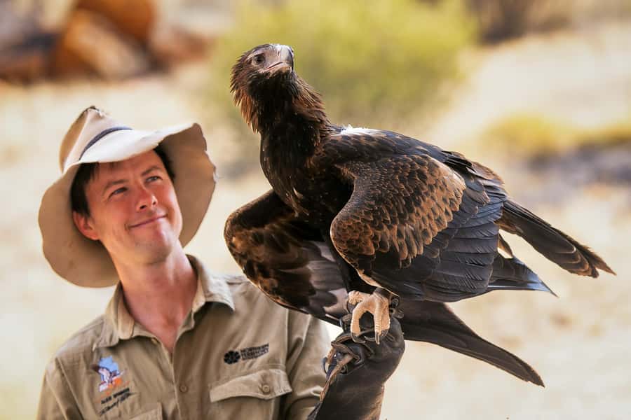 Alice Springs: Desert Park Entry Ticket - Arriving from Alice Springs: simple, low-stress logistics