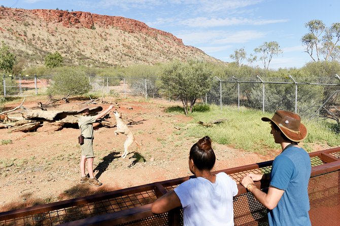 Alice Springs Desert Park General Entry Ticket - Facilities that keep your day flexible: café, scooters, gift shop, picnic area