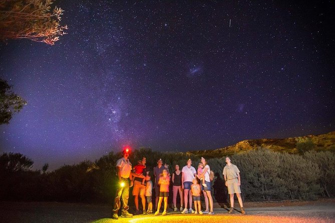 Alice Springs Desert Park Nocturnal Tour - Meet at the Courtyard: Your Real Start Time
