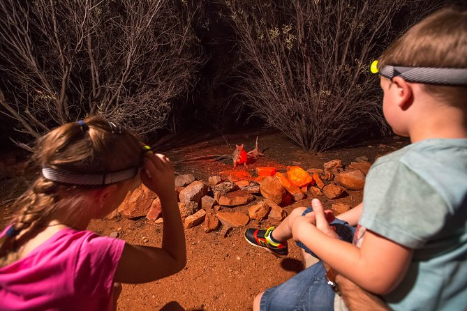 Alice Springs Desert Park Nocturnal Tour - The Real Itinerary: From Torch Fitting to the 45-Minute Enclosure Walk