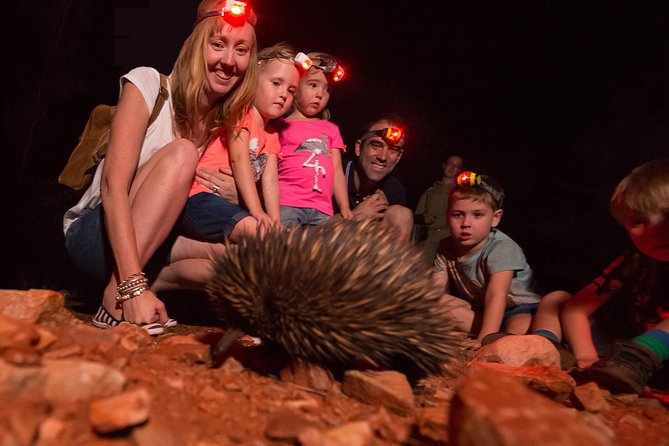 Alice Springs Desert Park Nocturnal Tour - Practical Tips That Make the Night Walk Easier