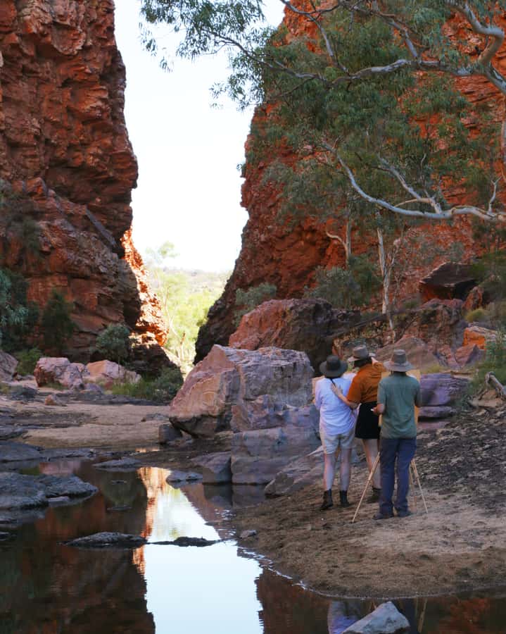 Alice Springs: Simpsons Gap Sunset Watercolor Painting Class - What You’ll Do From Pickup to Final Paint Check