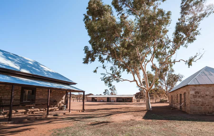 Alice Springs: Town Highlights and West MacDonnell Ranges - Key points worth your time