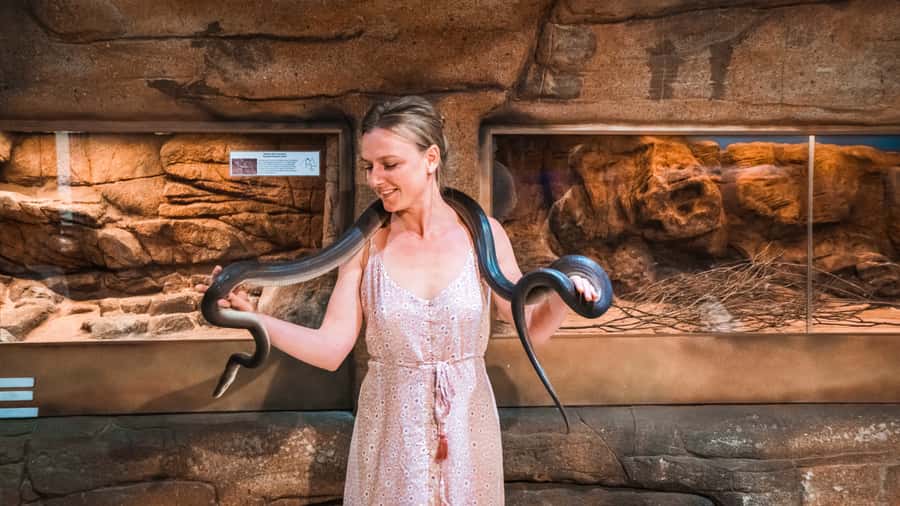 Alice Springs: Town Highlights and West MacDonnell Ranges - Wildlife watching at a respectful distance