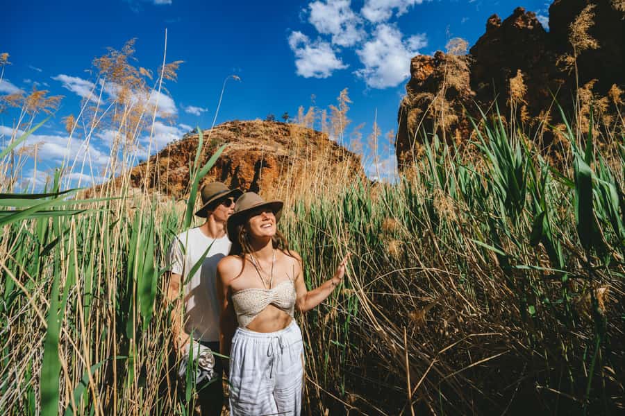 Alice Springs: West MacDonnell Ranges Day Tour with Lunch - Timing in Alice Springs: a 10.5-hour outback loop