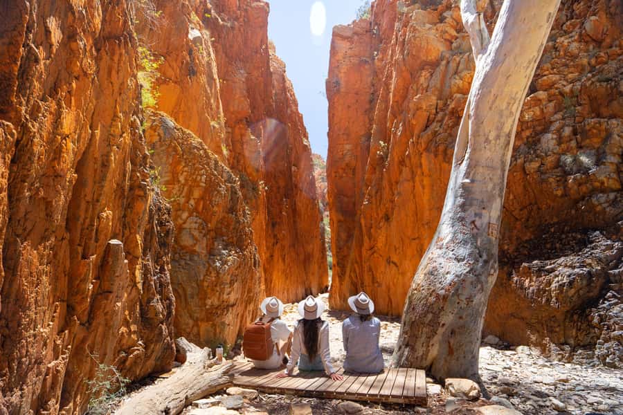 Alice Springs: West MacDonnell Ranges Day Tour with Lunch - Standley Chasm (Angkerle Atwatye): 80 meters of rock drama