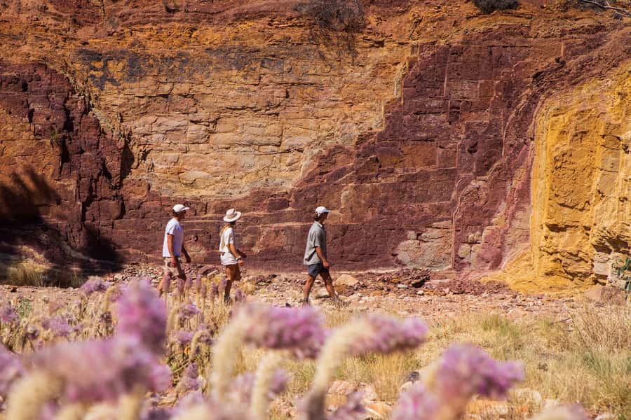 Alice Springs: West MacDonnell Ranges & Standley Chasm Tour - Value check: what you’re paying $138 for (and what costs extra)
