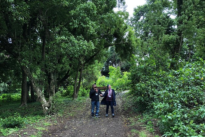 Alices Journeys Walking Tours of Daylesford 2.30pmFRI 11.30amSAT - Pace, group size, and what 90 minutes feels like