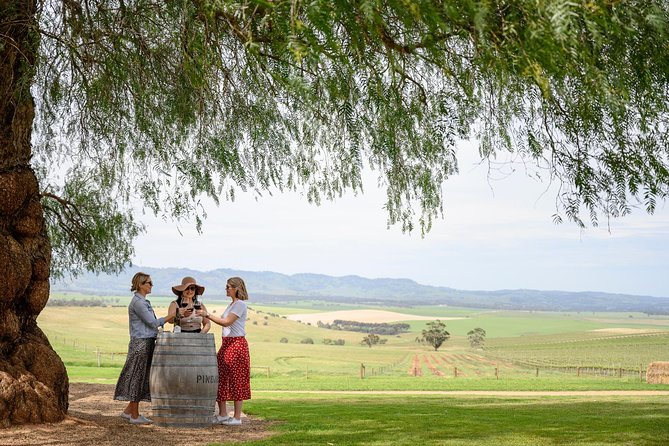 All Inclusive Barossa Valley Food and Wine Tour - Pindarie Winery in the Stables + Morning Tea at Grain Store