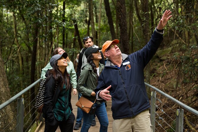All Inclusive Blue Mountain,Scenic World,Lunch,Koalas,ferry - Price and what you truly get for about $204.41