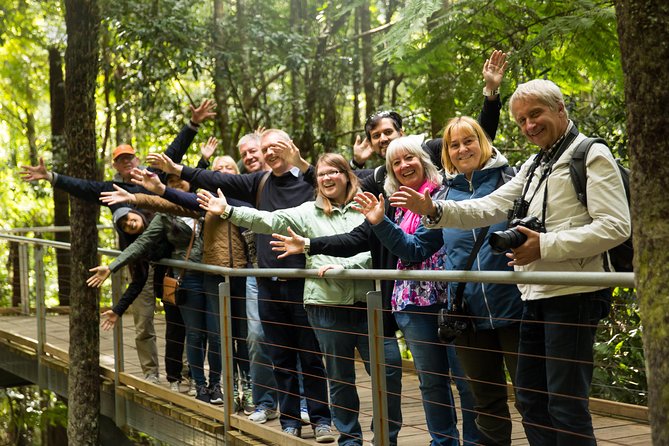 All Inclusive Blue Mountain,Scenic World,Lunch,Koalas,ferry - Three Sisters lookouts: views plus cultural meaning