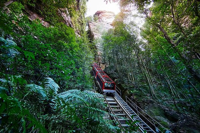 All Inclusive Blue Mountain,Scenic World,Lunch,Koalas,ferry - Scenic World Blue Mountains: the rides that make the day feel complete