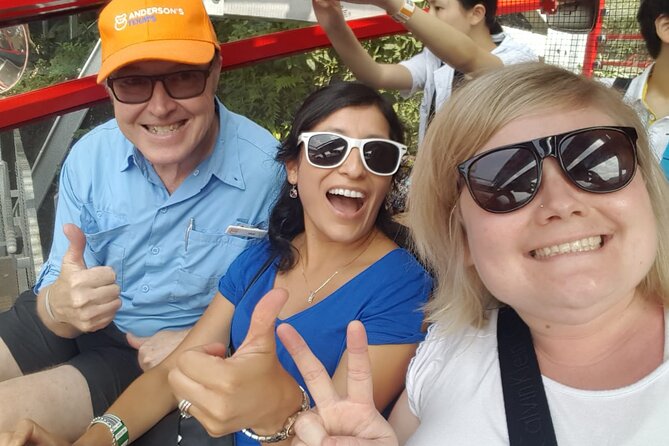 All Inclusive Blue Mountain,Scenic World,Lunch,Koalas,ferry - Timing, comfort, and rain: how to set yourself up well