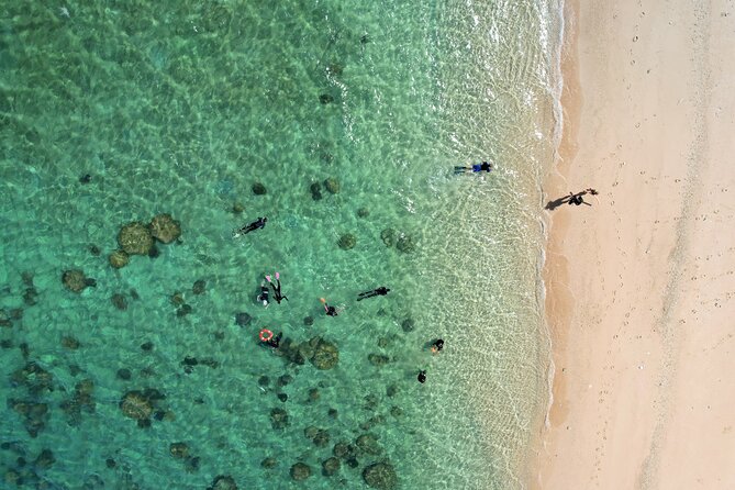 All Inclusive Day Tour to Frankland Islands Great Barrier Reef - Price and value: what $179.31 buys you on this kind of reef trip