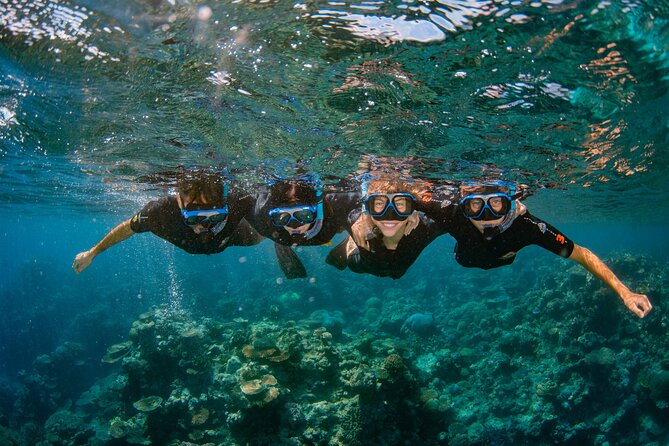 All Inclusive Great Barrier Reef Cruise w optional Scuba Diving - Norman Reef Block and Lunch: Fuel Between Reef Hours