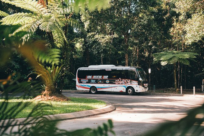 All Inclusive Waterfalls and Rainforest Tour from Cairns - Cathedral Fig Tree stop: your cultural warm-up