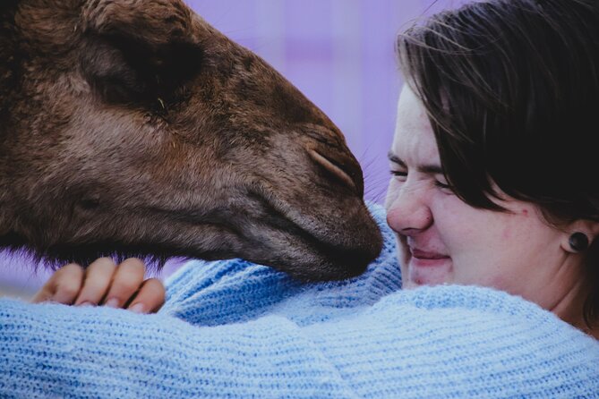 Alpaca Meet and Greet Experience in Peterborough - Entering Quentin Park: farm, studio gallery, and a quick orientation