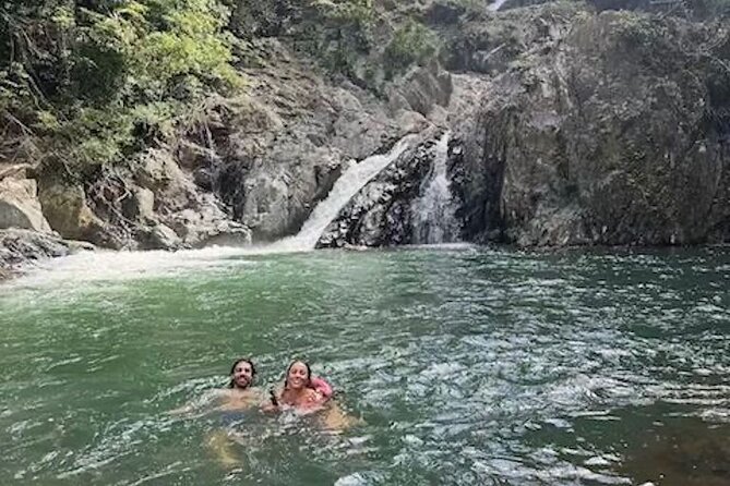 Amazing Daintree Rainforest Tour Waterfall Hike, Lunch, Swim & Crocodile Cruise - The tour guide factor: why Allister’s style matters