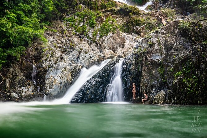 Amazing Daintree Rainforest Tour Waterfall Hike, Lunch, Swim & Crocodile Cruise - Timing, weather, and comfort: how to set yourself up for success