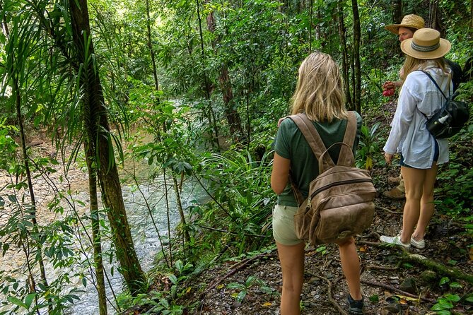 Amazing Daintree Rainforest Tour Waterfall Hike, Lunch, Swim & Crocodile Cruise - Packing for the swim: make it easy on yourself