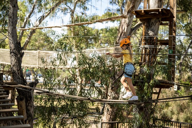 An exciting, Tree Top Adventure for Our Littlest Adventurers - Arriving at TreeClimb Adelaide: Where the Adventure Starts