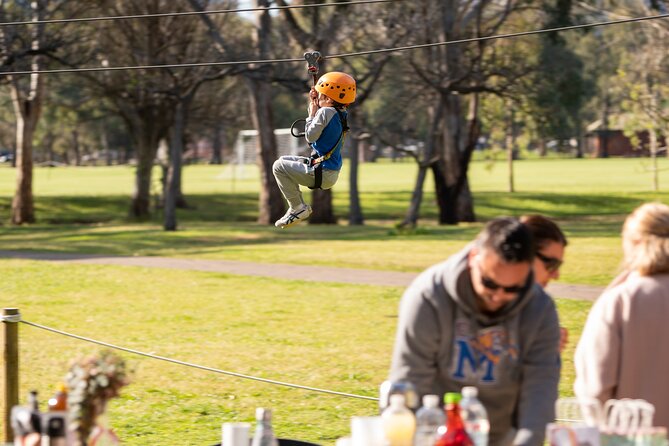 An exciting, Tree Top Adventure for Our Littlest Adventurers - Three Courses, One Progression: Yellow to Blue to Orange