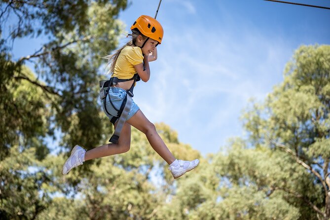 An exciting, Tree Top Adventure for Our Littlest Adventurers - How Difficult Is It, Really? Physical Fitness and Kid Pace