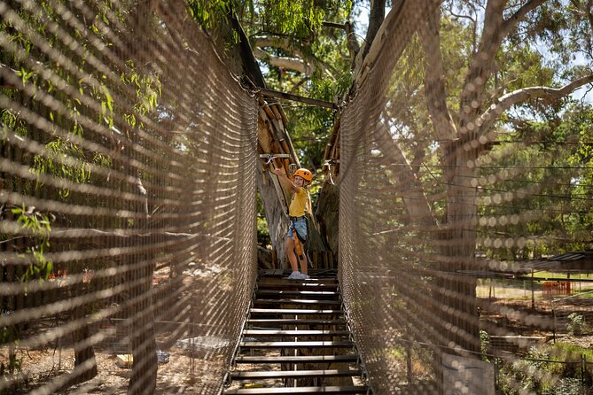 An exciting, Tree Top Adventure for Our Littlest Adventurers - Timing: A Clean 1 Hour 20 Minute Block That Actually Works
